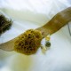 Морская губка Honeycomb неотбеленная (12.5 - 13.7 см), 1 шт.